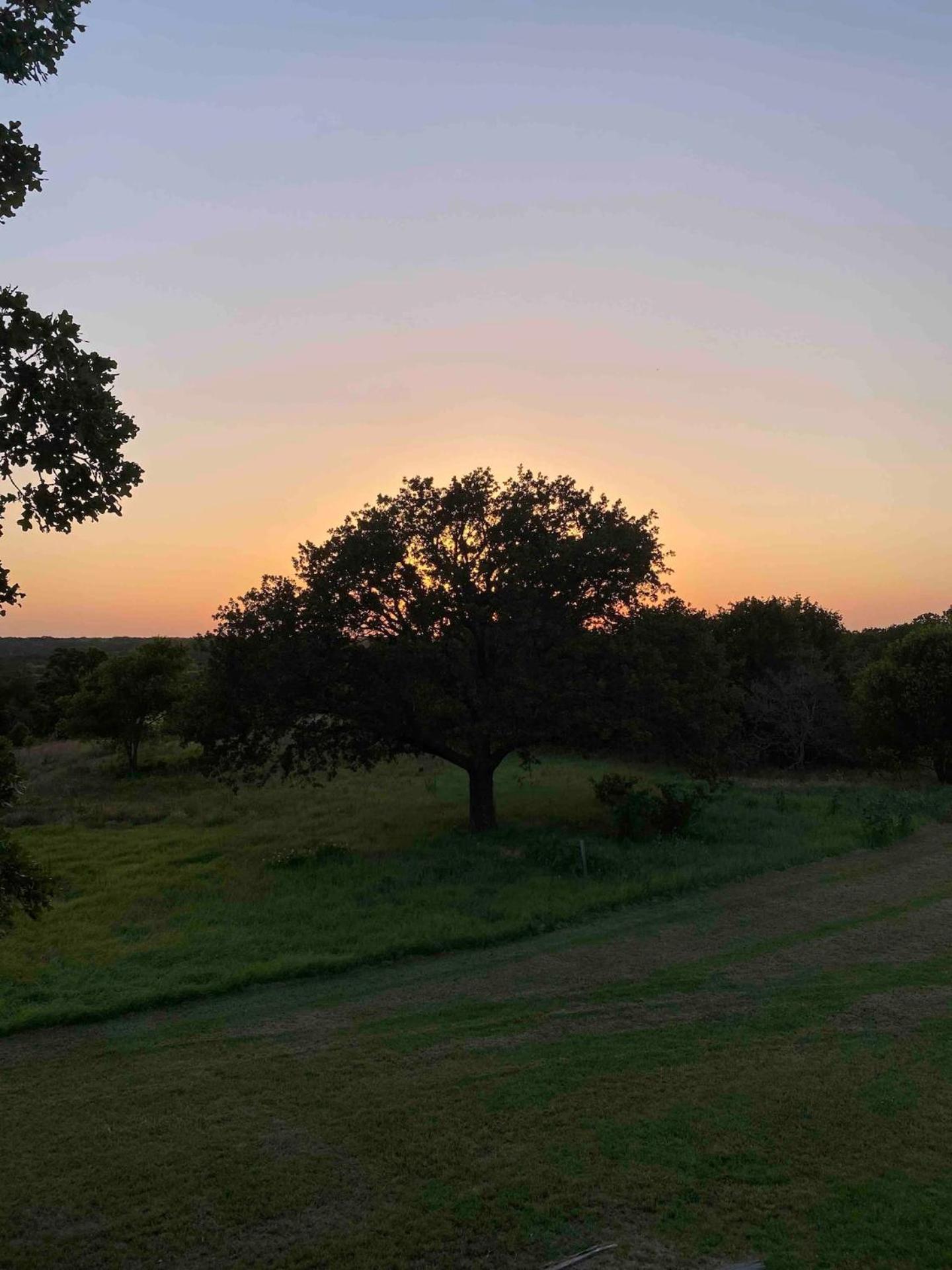 Nature Retreateclectic Country Boho Farmhouse Nocona Exterior photo